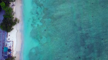 Endonezya 'nın Gili Trawangan kenti yakınlarındaki açık tropikal okyanus suyunda kumlu deniz kaplumbağaları yüzüyor. Yukarıdan İHA atışı iniyor