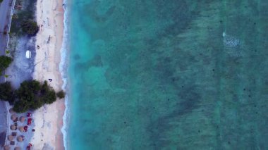 Bir grup deniz kaplumbağası, temiz ve sığ okyanus sularında havadan bakıldığında zarifçe yüzüyorlar. Deniz yaşam ortamı. Yüksekten uçan, dikey kuş bakışı İHA