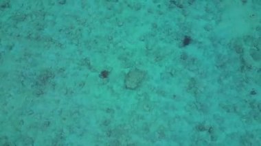 Deniz kaplumbağaları, açık tropikal turkuaz sularda sığ bir mercan resifinde zarifçe yüzerler. Deniz yaşamını ve korunmayı temsil ederler. Yukarıdan aşağıya doğru uçur