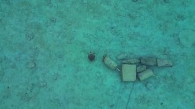 Deniz kaplumbağası, açık tropikal turkuaz sularda sığ bir mercan resifinde zarifçe yüzüyor. Deniz yaşamını ve korunmayı temsil ediyor. dikey kuş bakışı dron