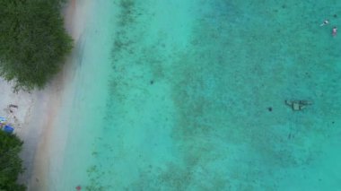 Deniz kaplumbağası, açık tropikal turkuaz sularda sığ bir mercan resifinde zarifçe yüzüyor. Deniz yaşamını ve korunmayı temsil ediyor. Aşağıya bakan İHA kamerası