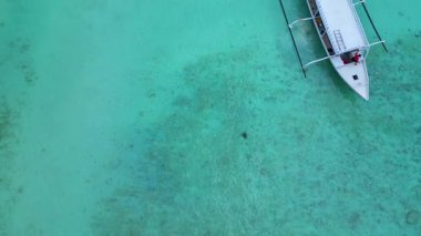 Deniz kaplumbağası, açık tropikal turkuaz sularda sığ bir mercan resifinde zarifçe yüzüyor. Deniz yaşamını ve korunmayı temsil ediyor. İHA 'yı yukarı kaldırıyorum. Yukarıdan aşağıya doğru.