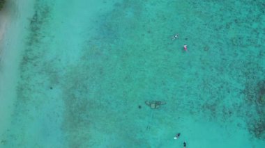 İnsanlar şnorkelle yüzmeyi, kaplumbağaların yanında yüzmeyi ve canlı mercan resiflerini berrak turkuaz okyanus suyunda keşfetmeyi seviyorlar. uçuş üstü insansız hava aracı