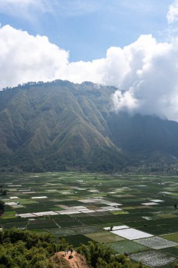 Lombok 'ta büyük bir dağın altındaki vadi boyunca uzanan yeşil pirinç tarlaları ve ekili tarlalar.
