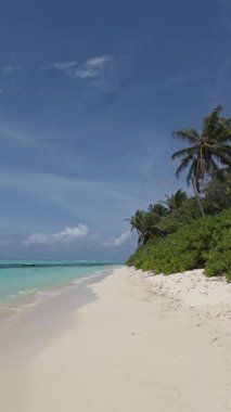 Terkedilmiş beyaz kumsal berrak mavi okyanus suyu ve yemyeşil palmiye ağaçları güneşli bir günde