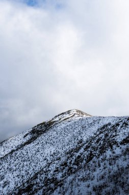 Kar, bulutlu bir kış gökyüzünün altında seyrek bitki örtüsünü gösteren bir dağ zirvesini kaplıyor.