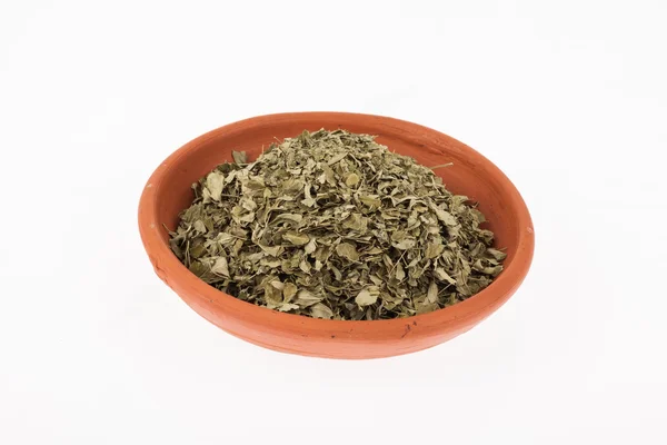 Listy Moringa sušených léčivých rostlin — Stock fotografie