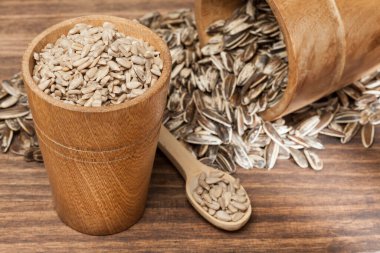 Helianthus annuus - Ay çekirdeği boruları, ya da kadife çiçekleri.