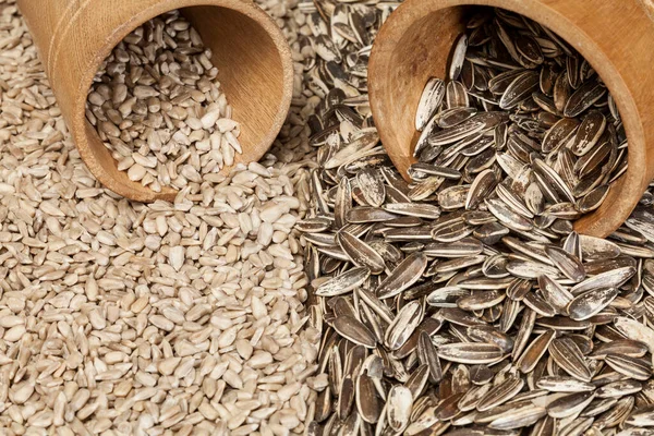 Helianthus Annuus Pipes Sunflower Seeds Marigolds — Stock Photo, Image