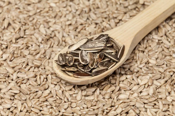 Helianthus Annuus Pipes Sunflower Seeds Marigolds — Stock Photo, Image