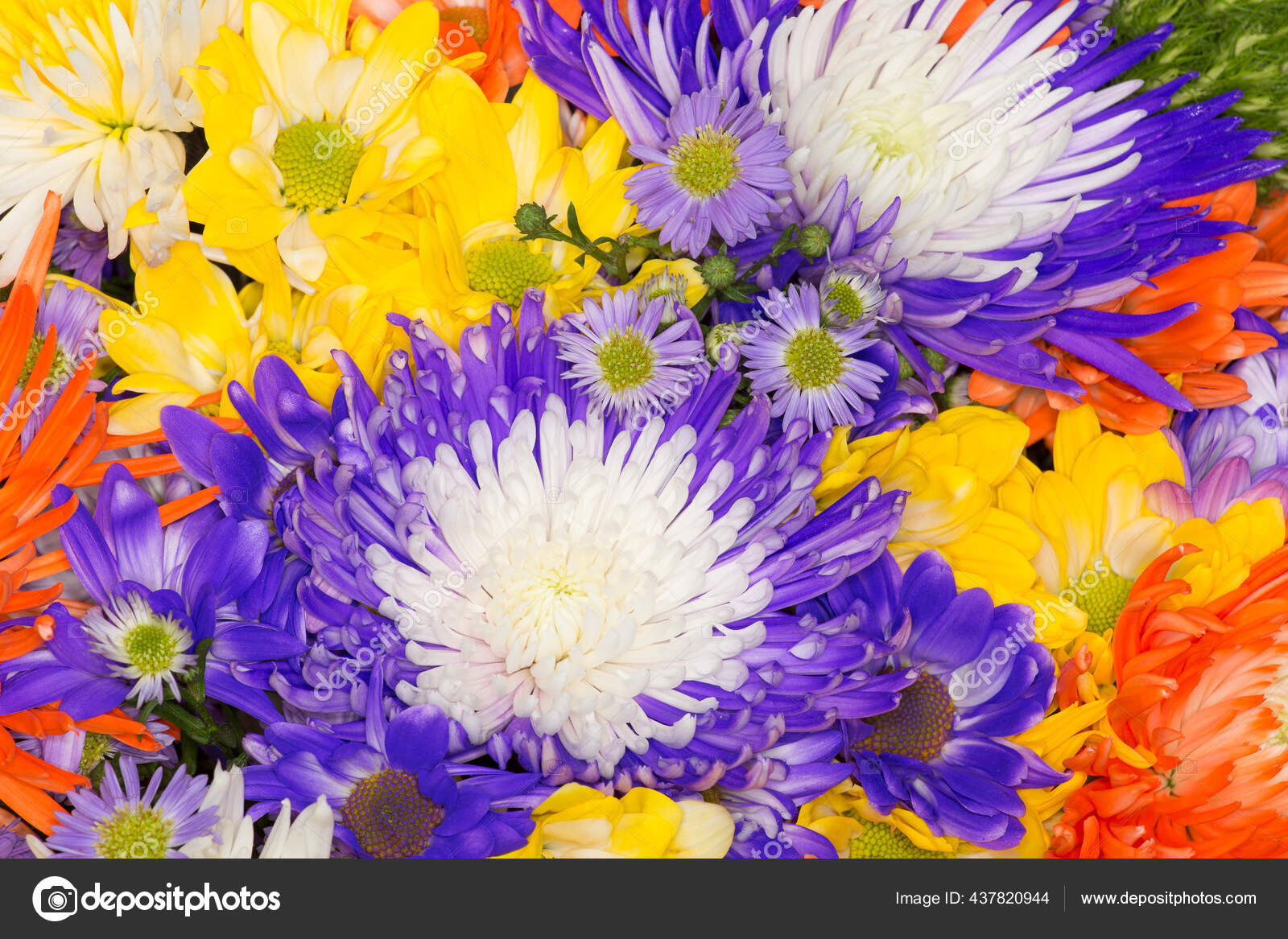 Arreglo Flores Hermosas Coloridas Ramo Hecho Con Diferentes Flores: fotografía de stock © #437820944 | Depositphotos Arreglo Flores Hermosas Coloridas Ramo Hecho Con Diferentes Flores: fotografía de stock © #437820944 | Depositphotos