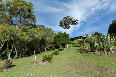 Güzel doğal manzara; yeşil alan ve mavi gökyüzü.