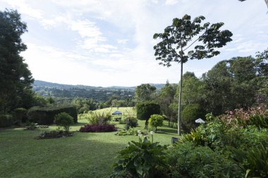 Güzel doğal manzara; yeşil alan ve mavi gökyüzü.