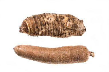 Yuca ve Malanga Yenilebilir Organik Kökler; Manihot Esculenta - Colocasia Esculenta