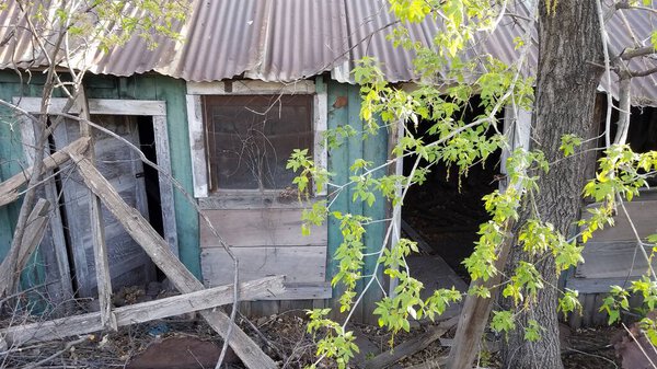 Nature Reclaiming an Abandoned House with a Tin Roof in Mogollon, New Mexico. High quality photo