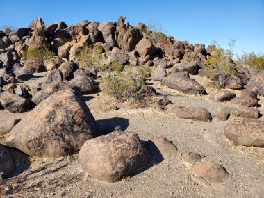 Kayalardaki petroglifler, Arizona 'daki Painted Rock Petroglyph Sitesi' ndeki kayalar. Yüksek kalite fotoğraf