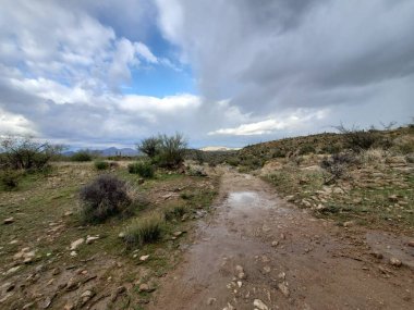Su birikintisi olan çamurlu patika, Arizona 'daki Picketpost Dağı' nda yağmur altında yürüyüş. Yüksek kalite fotoğraf