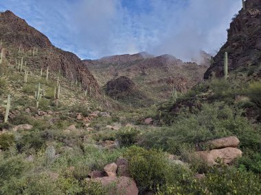 Altın Kanyon, Arizona 'da kayıp altın madeni yolu, bulutlu gün, batıl inanç dağları. Yüksek kalite fotoğraf