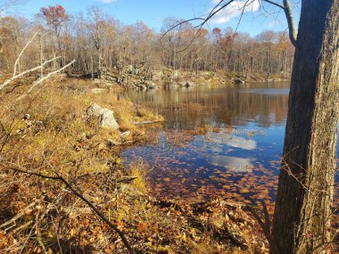 Nükleer Göl 'de Manzaralı Sonbahar Günü, New York, Sonbahar Doğası. Yüksek kalite fotoğraf