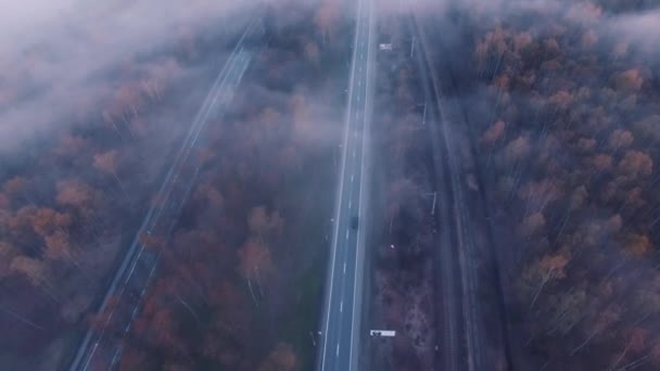 Δρόμο. το ομιχλώδες. φύση. σύννεφα της ομίχλης. — Αρχείο Βίντεο