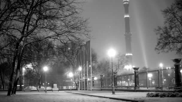 Parque de Inverno em Ostankino — Vídeo de Stock