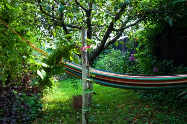 Sakin köşe renkler dolu