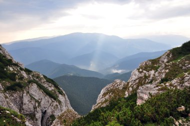 Yapraklara dağlar üzerinde
