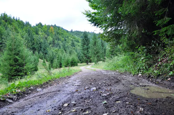 Orman yolu çamur dolu