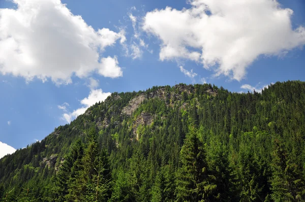 Bulutlu dağ manzarası