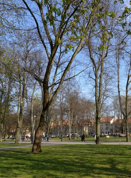 Primavera en el parque de la ciudad — Foto de Stock