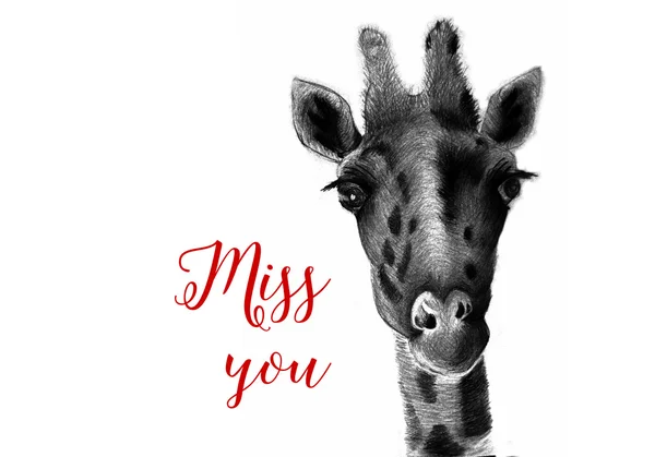 "Desculpe "sinal com imagem de girafa triste — Fotografia de Stock