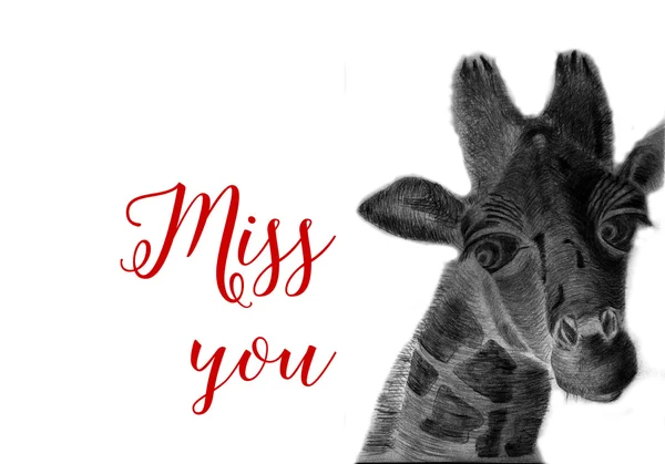 "Lo sentimos "signo con la imagen de jirafa triste —  Fotos de Stock