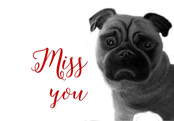 ""Miss You" -Schild mit traurigem Mops-Image — Stockfoto