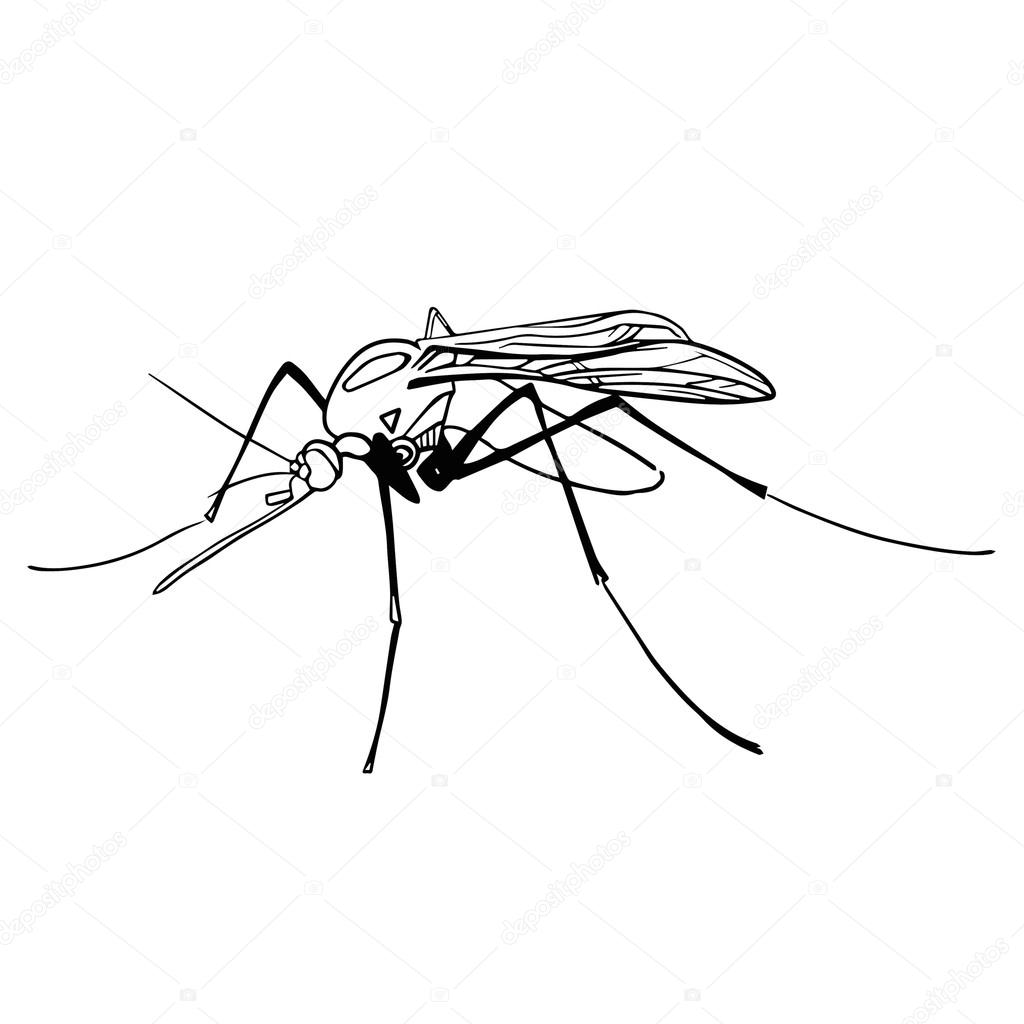 Hand drawn insect vector scribble icon illustration