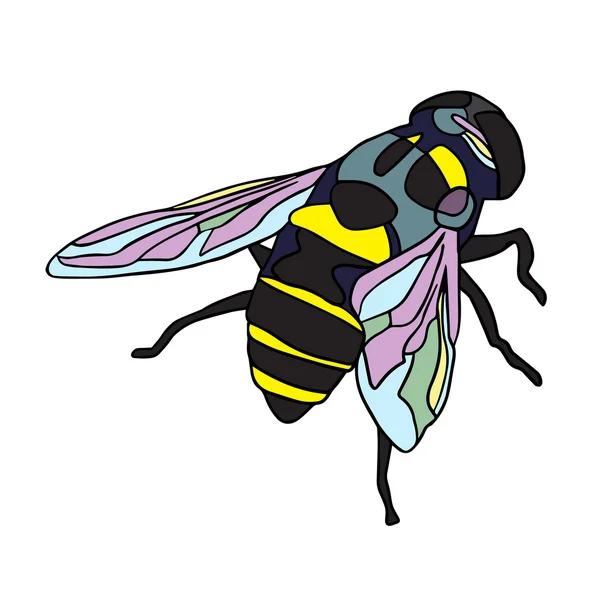 Handgezeichnet Insektenvektor Kritzeln Symbol Illustration — Stockvektor