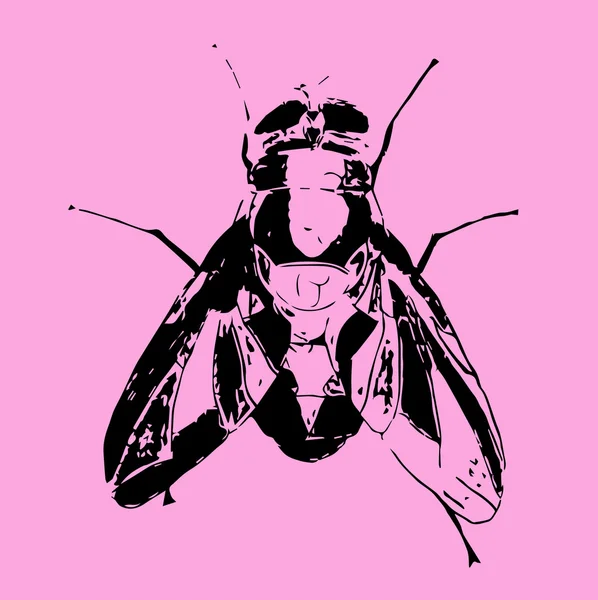 Handgezeichnet Insektenvektor Kritzeln Symbol Illustration — Stockvektor