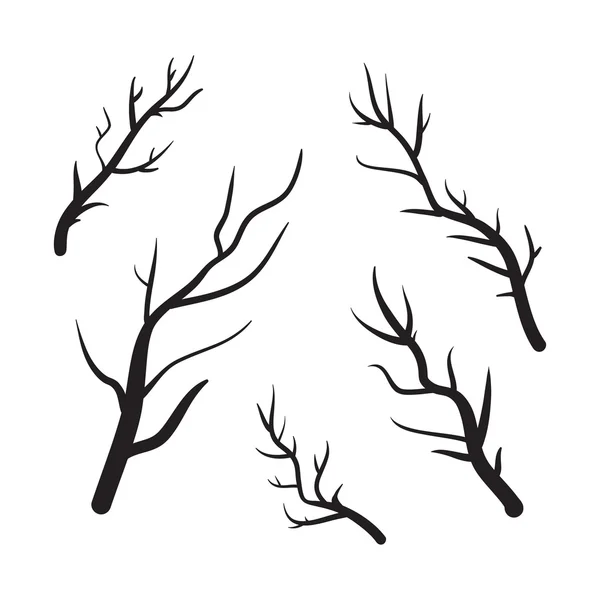 树枝矢量手绘插画。在透明背景上的图标 — 图库矢量图片