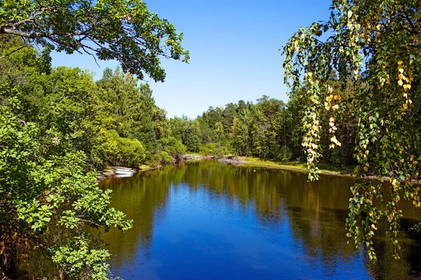 Güzel yaz yatay, orman, göl