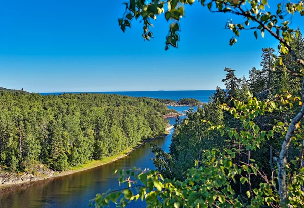 Güzel yaz yatay, orman, göl