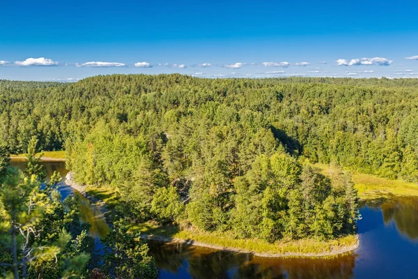 Красивый летний пейзаж с лесом, озером — стоковое фото