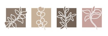 Çiçek dalları, okaliptüs minimalist monokrom logo şablonları. Duvar dekorasyonu, şirket rozeti tasarımı