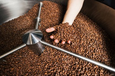 Tanınmayan bir işçinin eli taze kavrulmuş kahve çekirdeklerini gösteriyor.