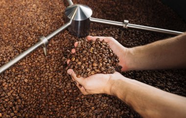 Kızartma makinesinin üstünde taze kahve çekirdekleri olan yüksek açılı erkek elleri.