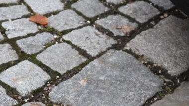 Bir ikinci el araç lastik yakın çekim