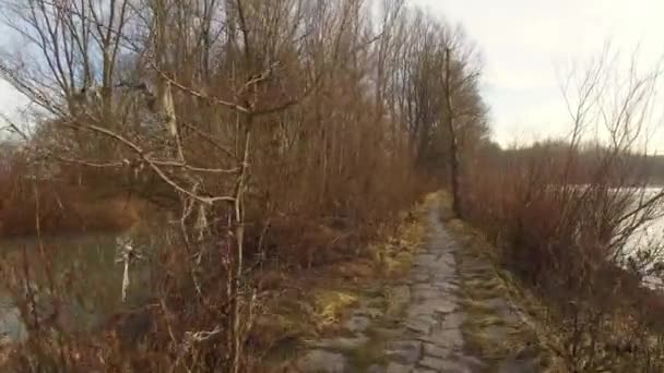 Caminhando por um romântico caminho natural caminhadas — Vídeo de Stock