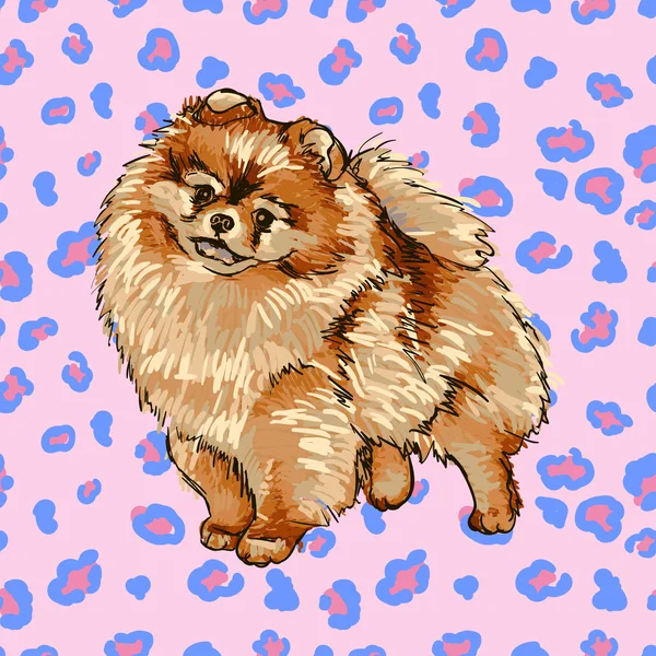 Puppy RAS Pommeren — Stockvector