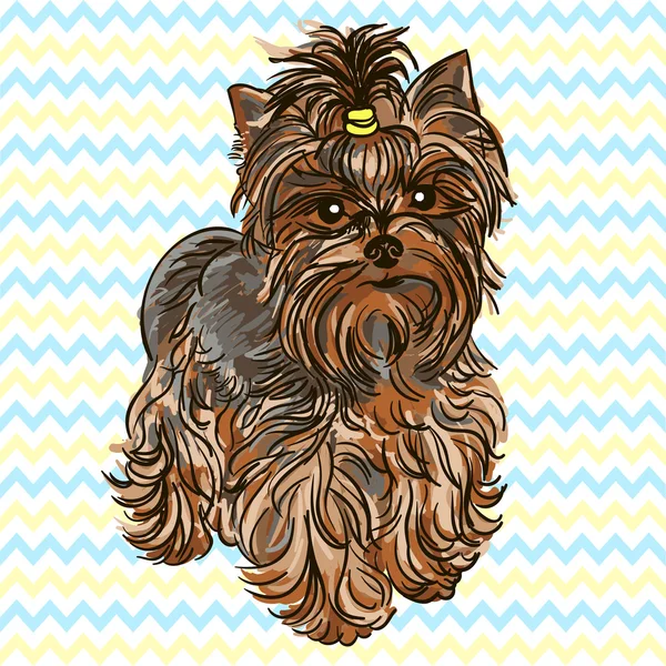 Vektor-Illustration von yorkshire terrier — Stockvektor