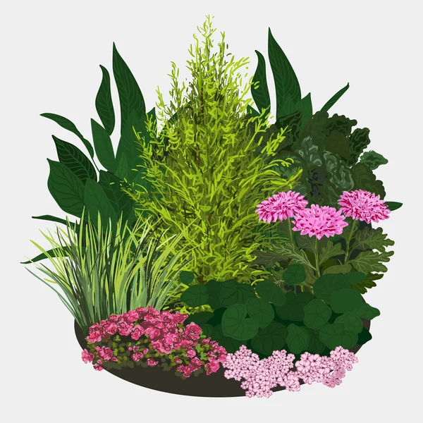 Illustration du lit de fleurs de jardin — Image vectorielle