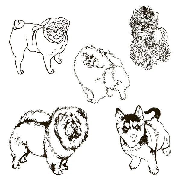 Ensemble vectoriel de silhouettes de races de chiens — Image vectorielle
