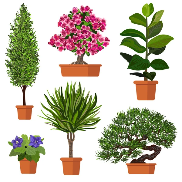 Vector set of plants in pot. — Stock Vector